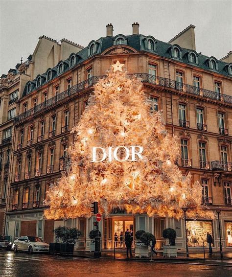 dior christmas decoration paris|Dior christmas gift.